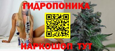 спиды Заволжье