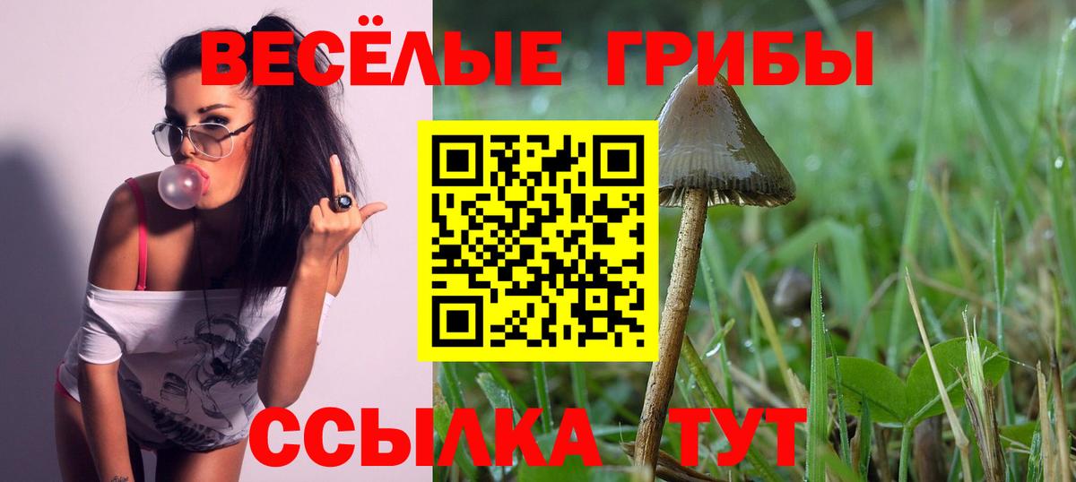 Галлюциногенные грибы прущие грибы  купить   Липецк  Вход с VPN  Псилоцибиновые грибы мухоморы 